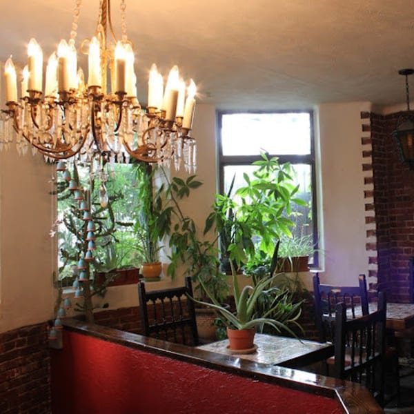 A brightly lit chandelier hangs over a dining area with plants, windows, and brick walls at Sol Azteca.